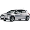auris
