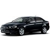 galant-fortis