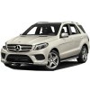 gle-class