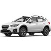 xv